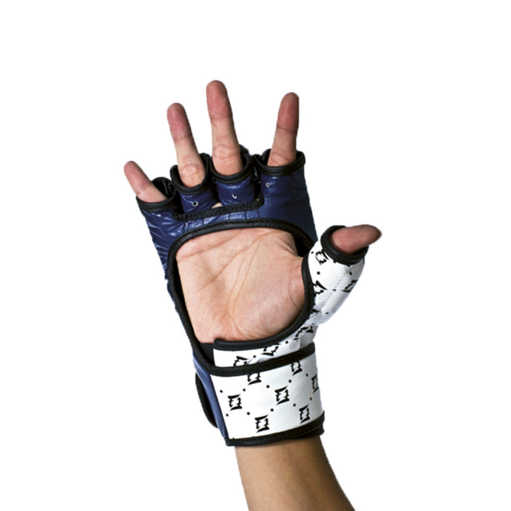 Fairtex FGV17 Sparring Gloves