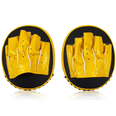 Fairtex FMV15 Focus Mitts